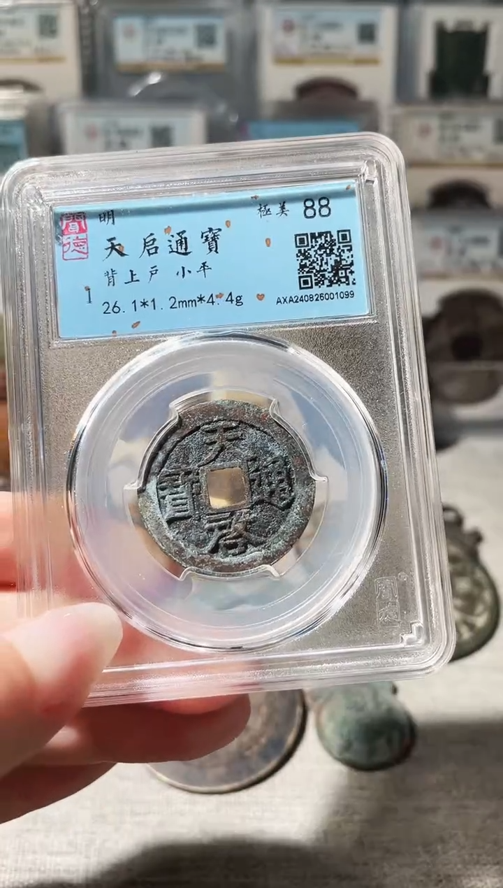 铜斯*顿3天启背上户 