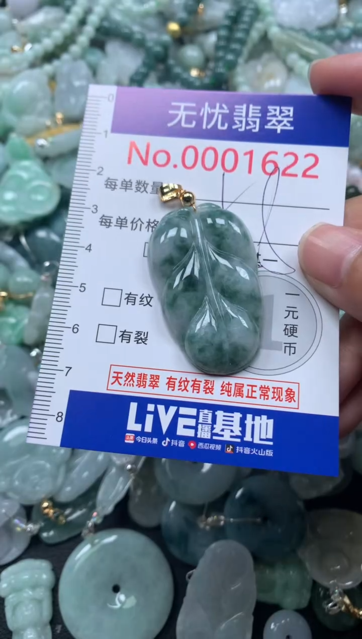 颈饰未镶嵌翡翠1622