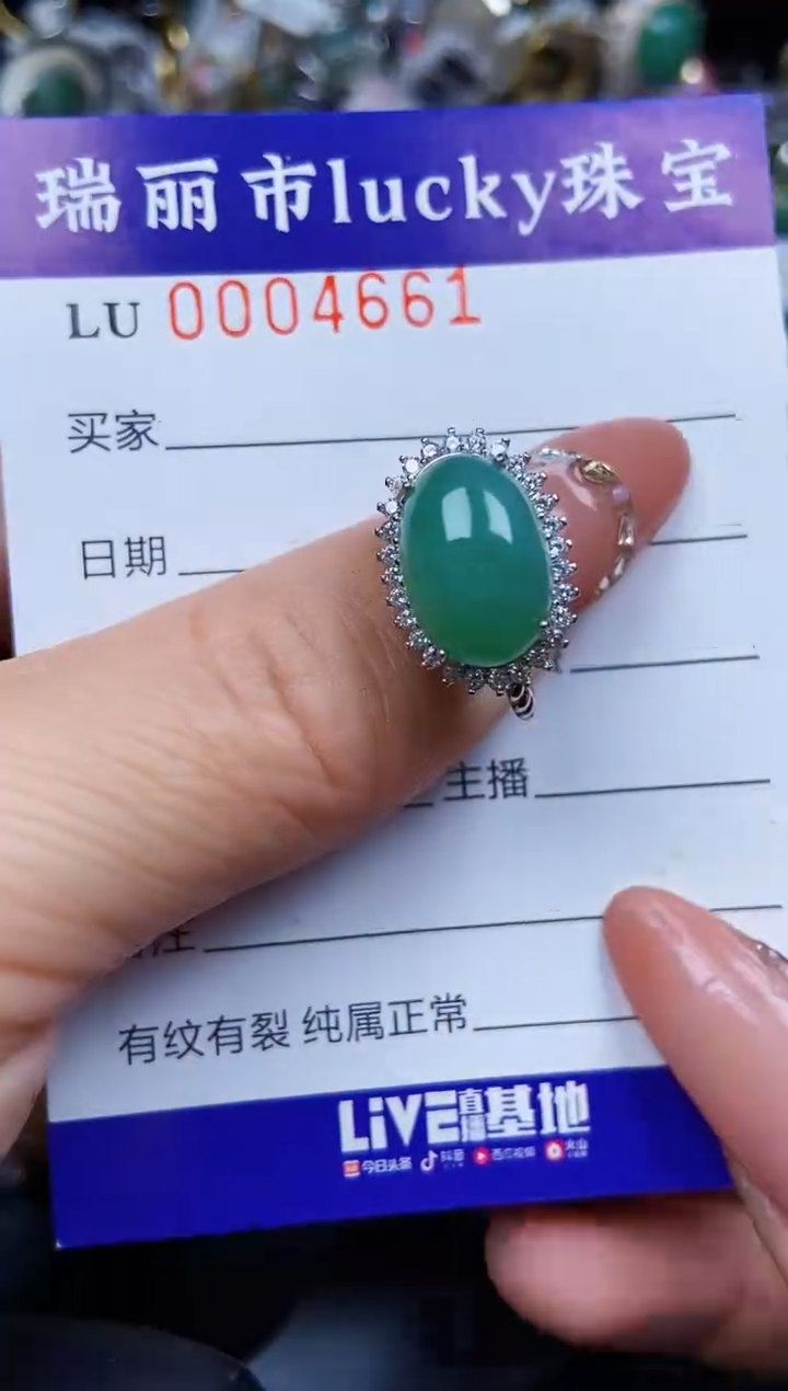 翡翠银S925镶嵌颈饰4661