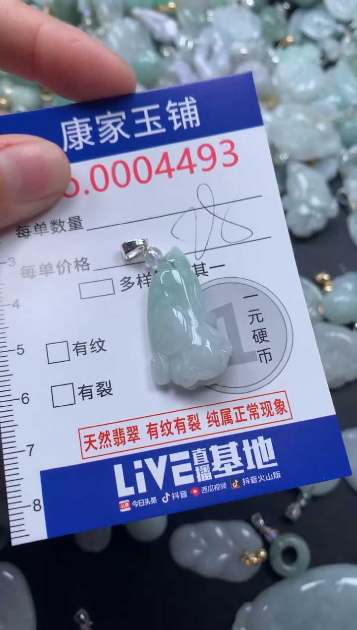 颈饰未镶嵌翡翠4493