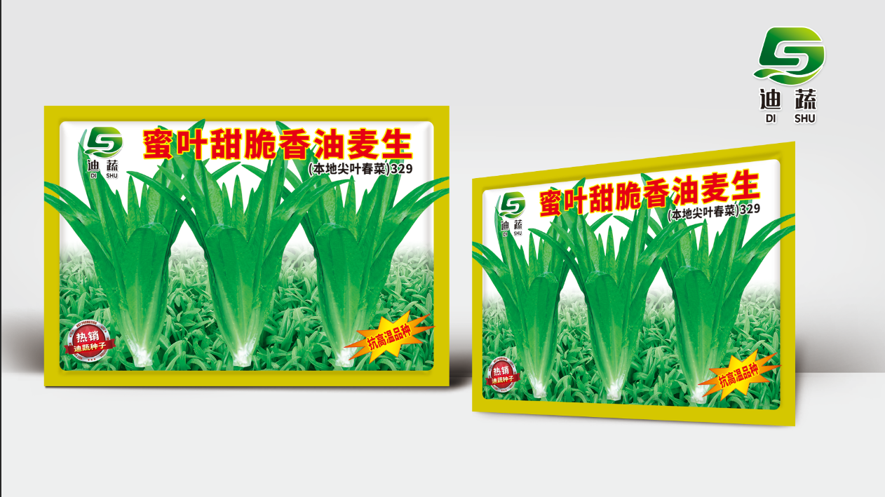 本地尖叶春菜种子抗热蜜叶甜脆油麦菜种子适合多种场景种植
