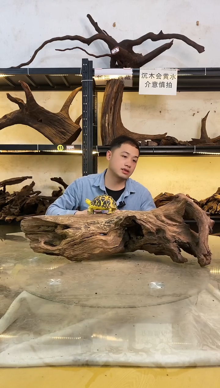 【闪购商品】柚木木艺009鱼缸造景沉木