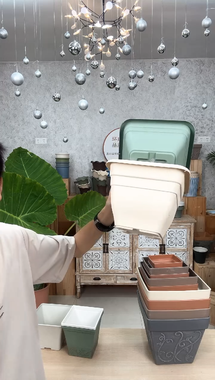 艾拉20方盆混色10只白绿混色