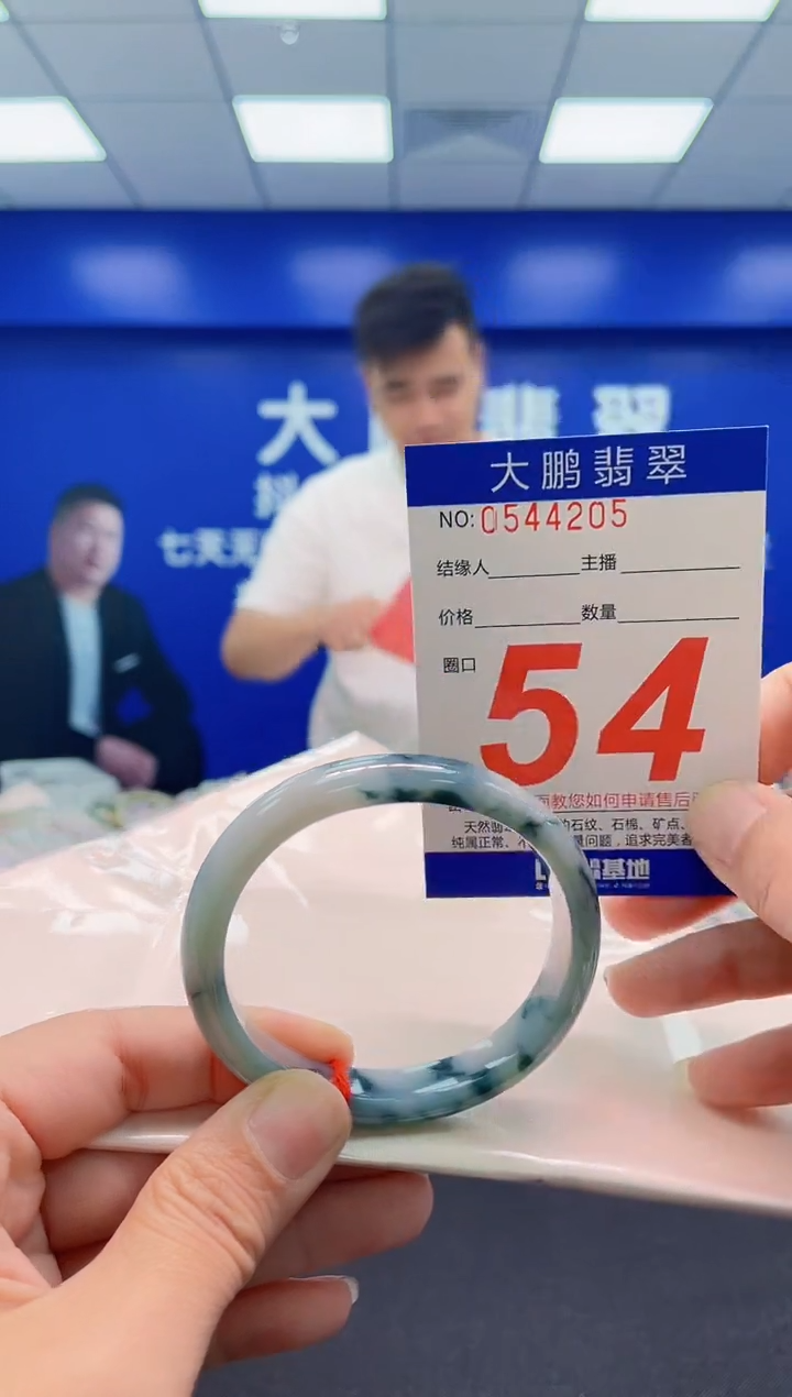 未镶嵌手镯翡翠AAAAAAAAA