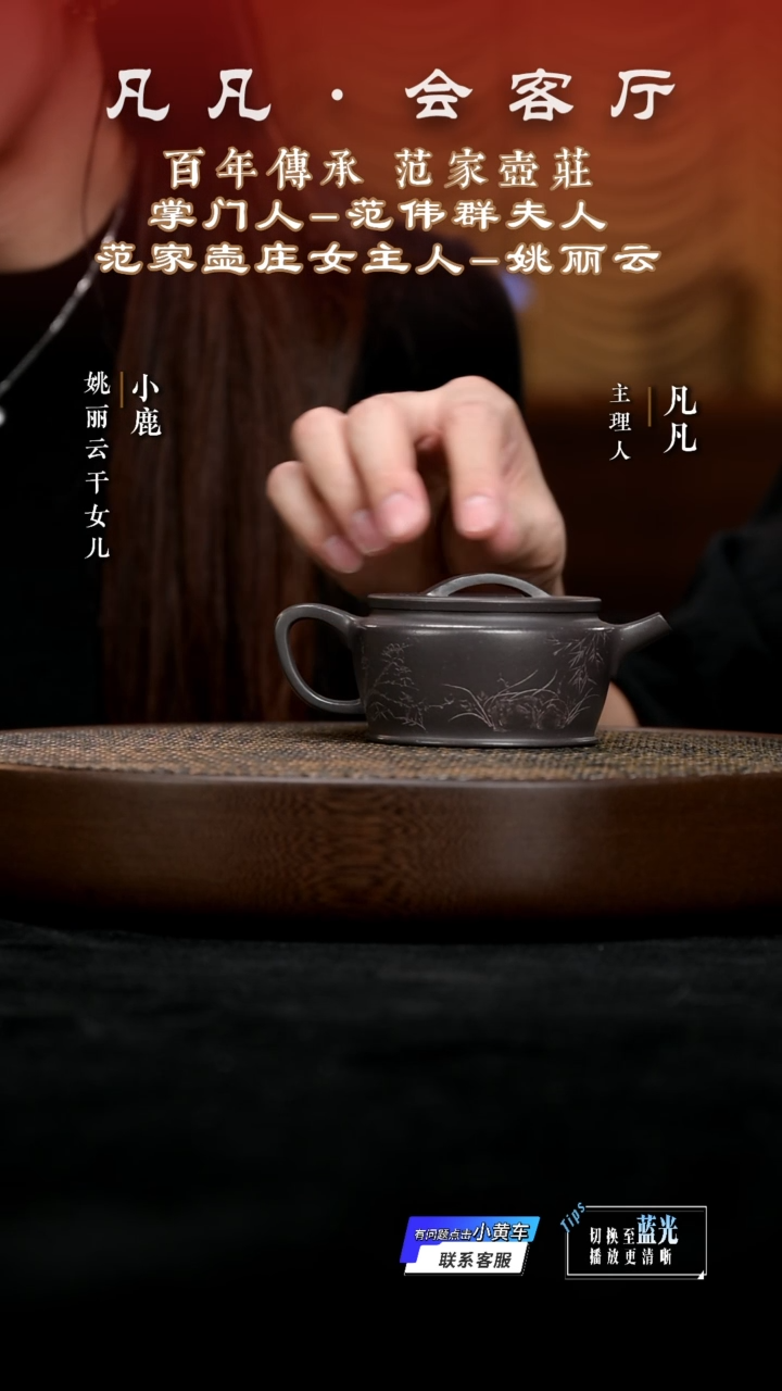 茶壶紫砂凡凡会客厅&姚丽云04 紫砂壶