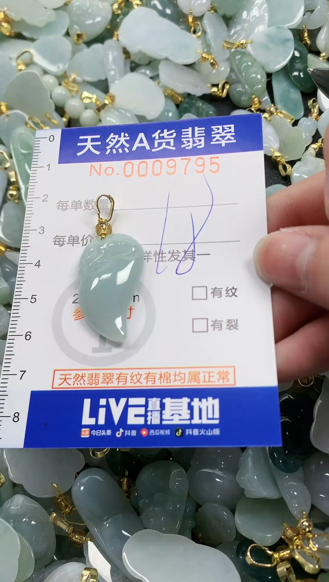 颈饰未镶嵌翡翠纯天然a货翡翠