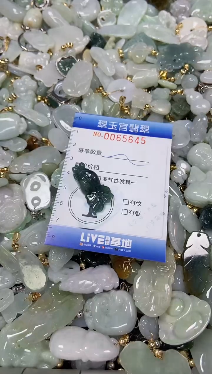 【闪购商品】翡翠颈饰未镶嵌闪购0065645