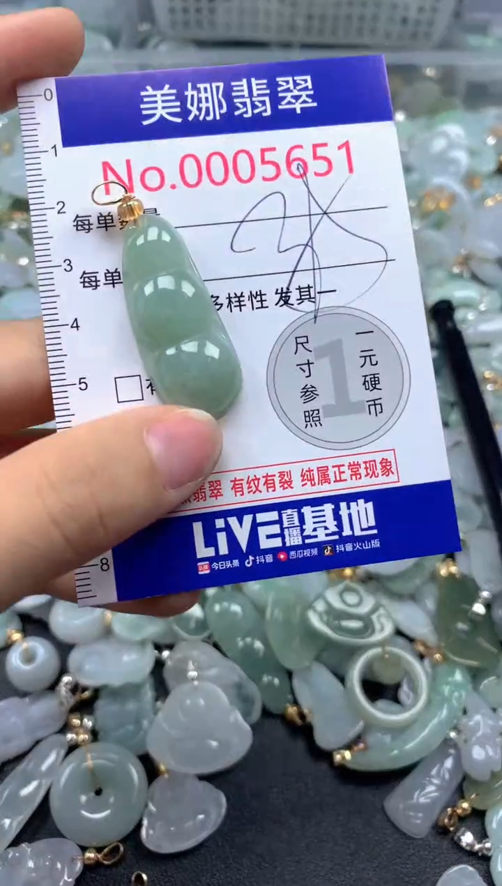颈饰未镶嵌翡翠5651