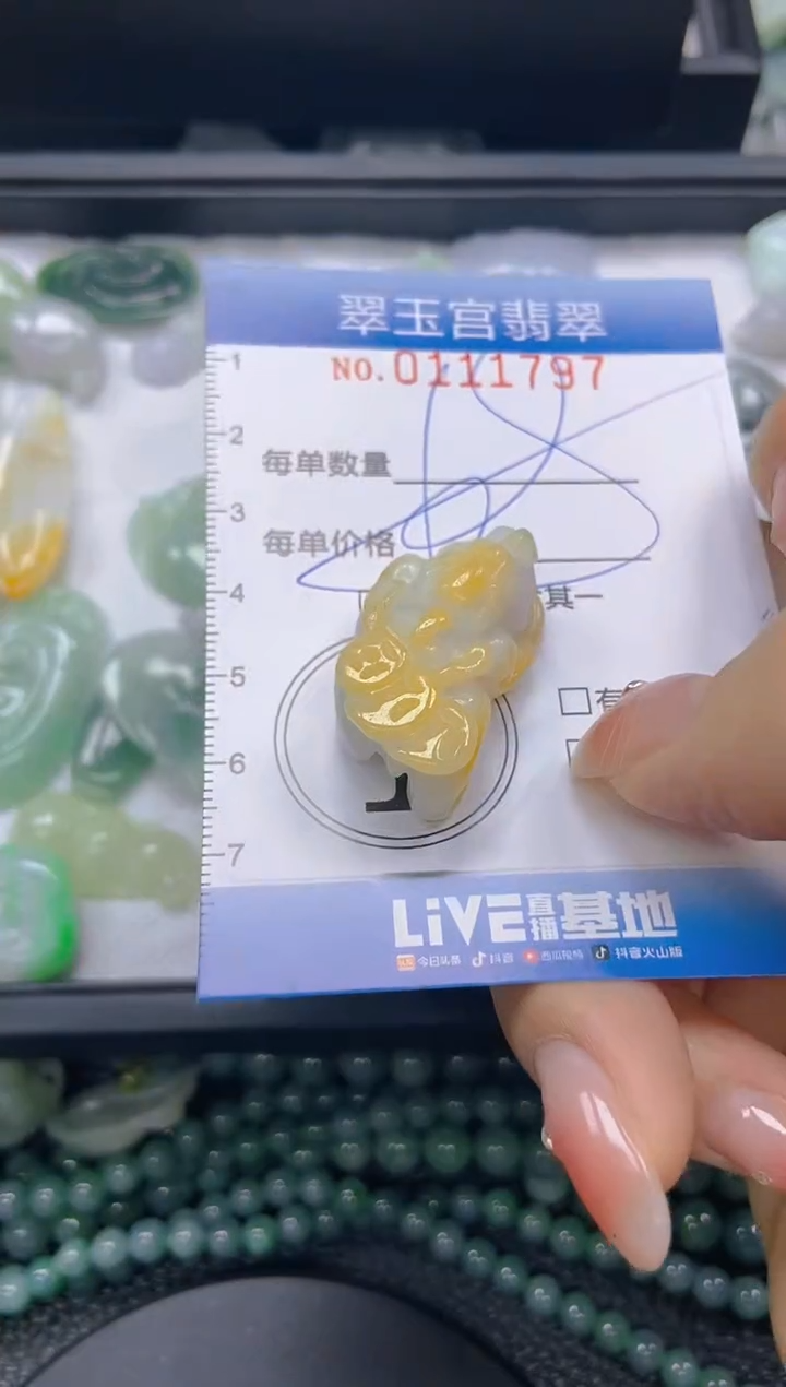翡翠未镶嵌颈饰闪购0111797
