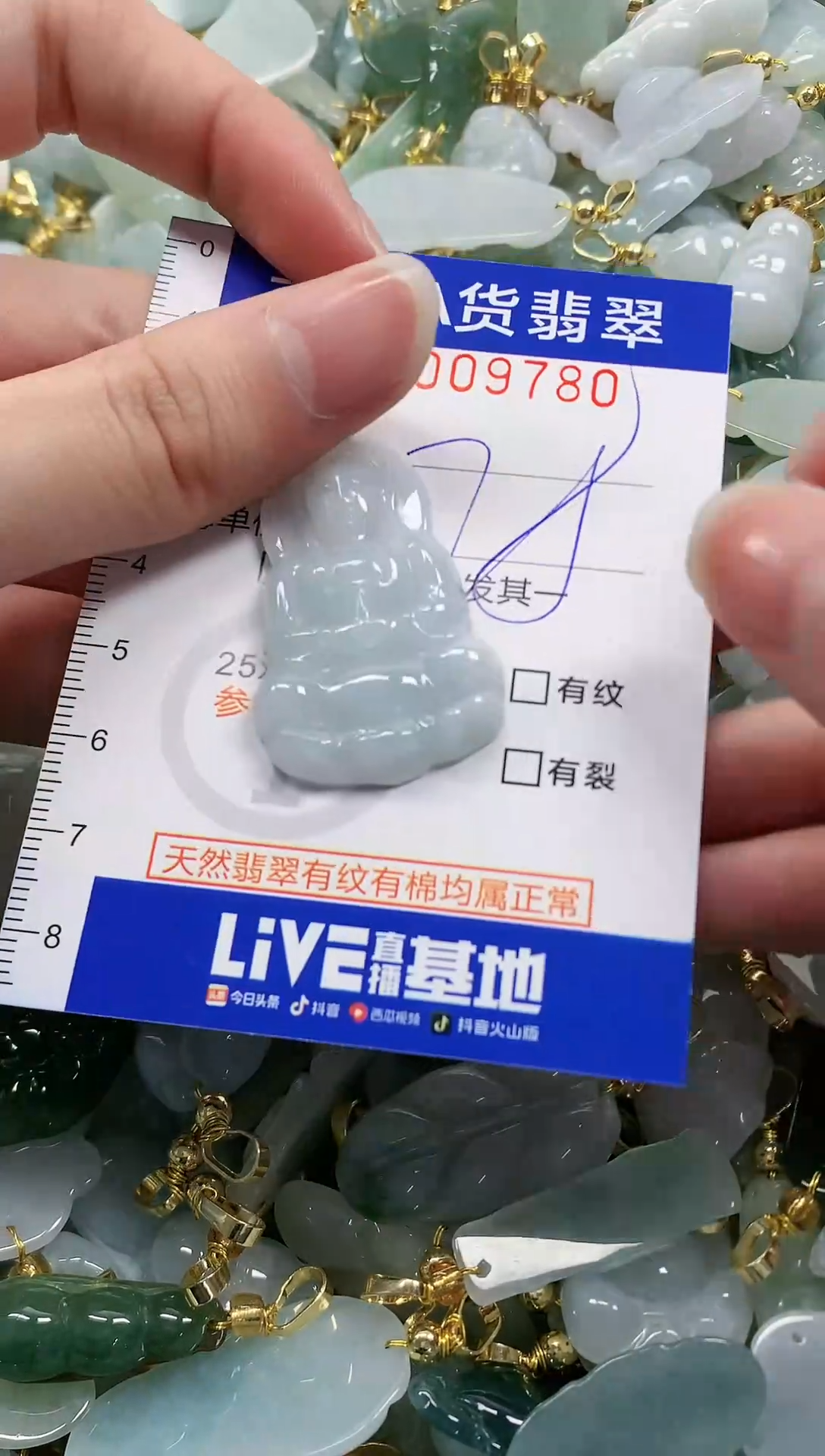 颈饰未镶嵌翡翠纯天然a货翡翠