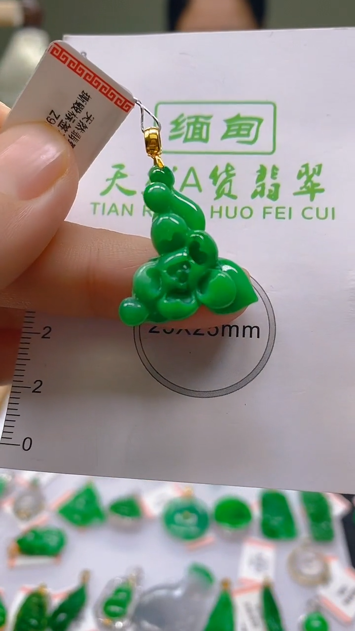 【闪购商品】翡翠18K金镶嵌颈饰新号开播，全场乱卖