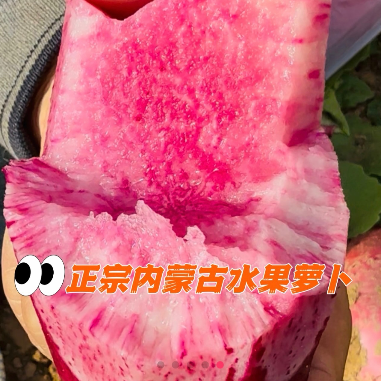 内蒙古蜜悦萝水果萝卜黄河水浇灌爆汁脆甜 5斤