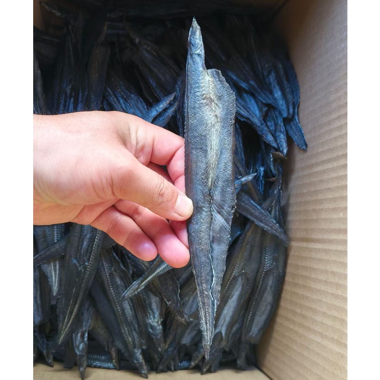 风干阳干刺泥鳅沙泥鳅钢鳅淡水鱼水产腌制洪湖特产顺丰下酒菜包邮