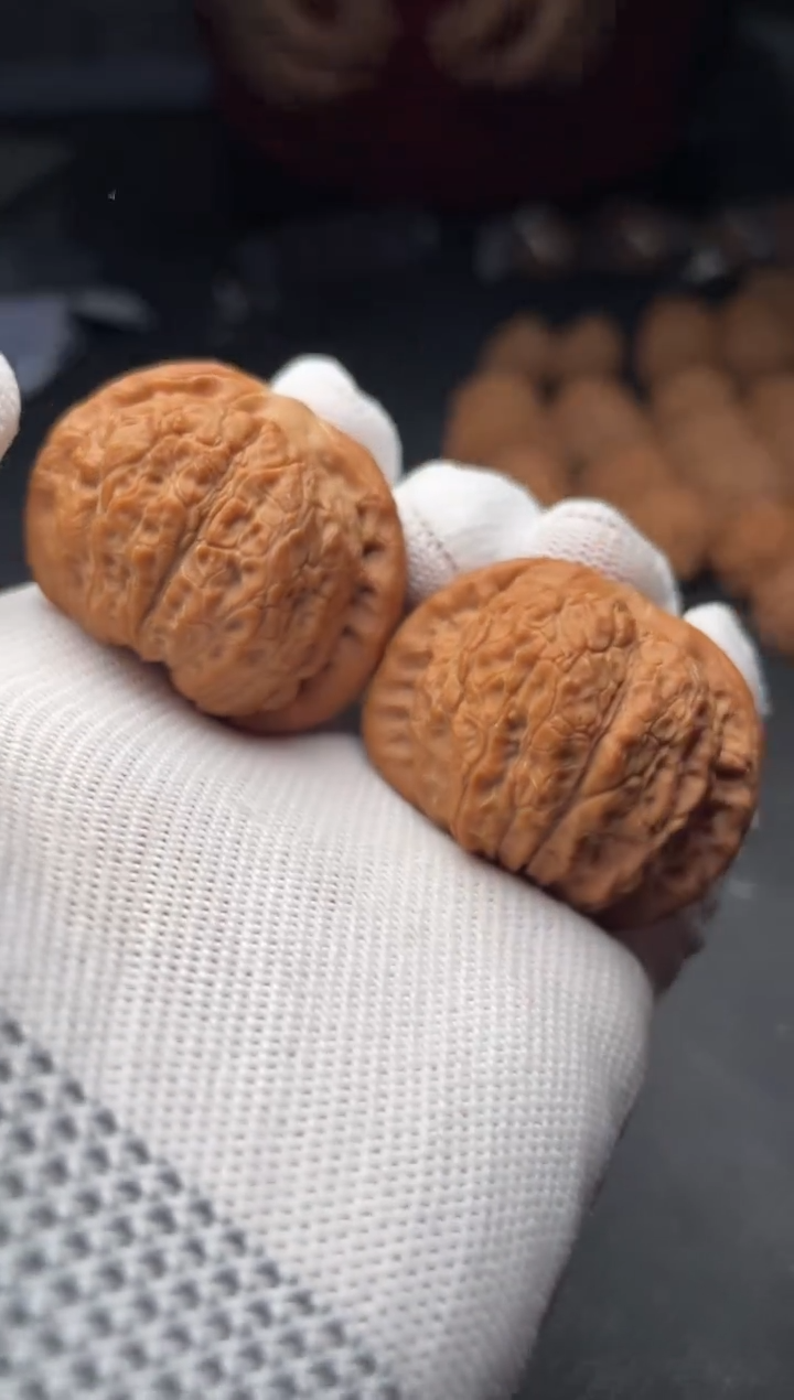 核桃a51  血麒麟    40尺