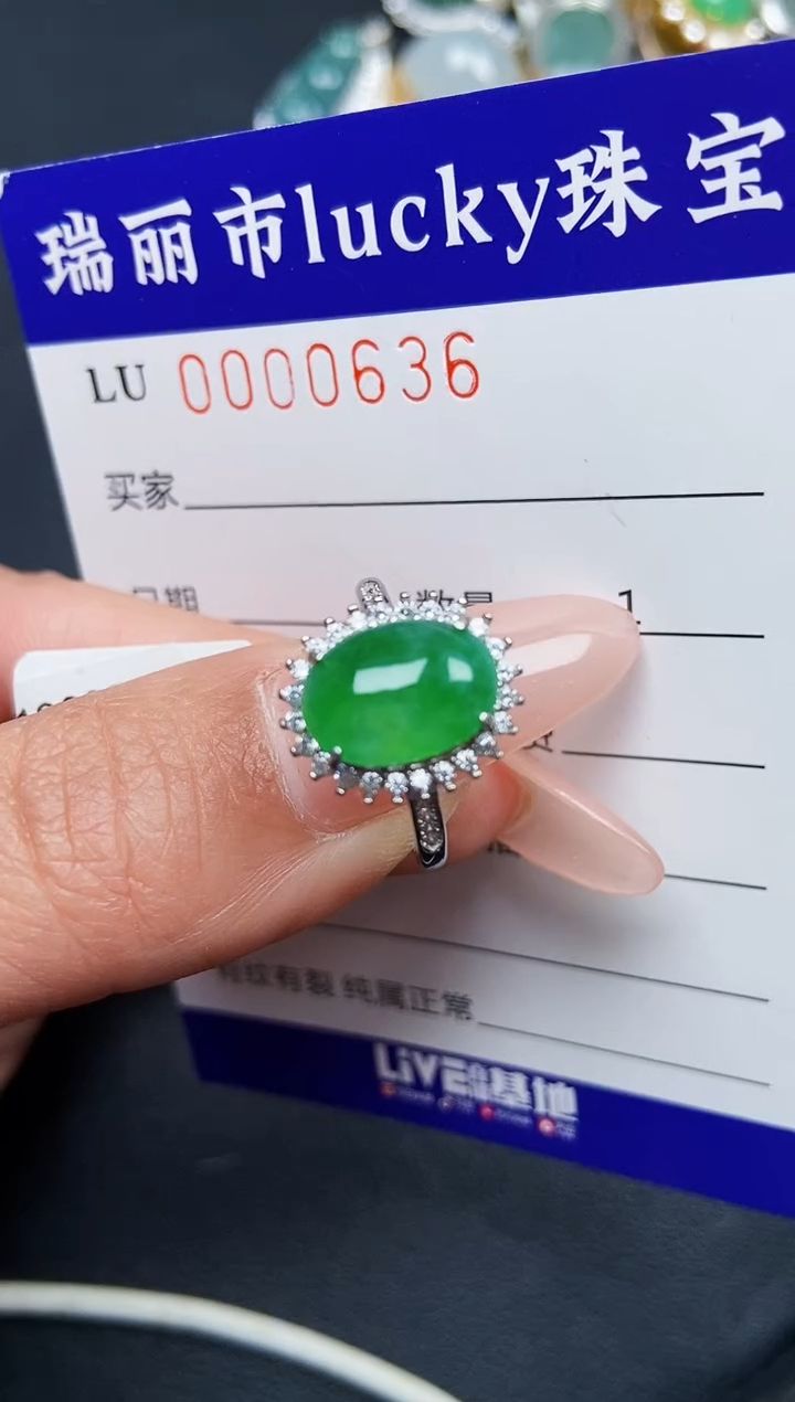 【闪购商品】翡翠颈饰银S925镶嵌0636