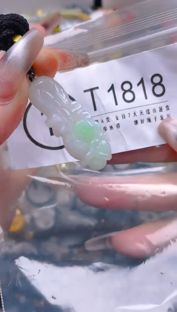 【闪购商品】翡翠颈饰未镶嵌/T/翡翠A货一图一物