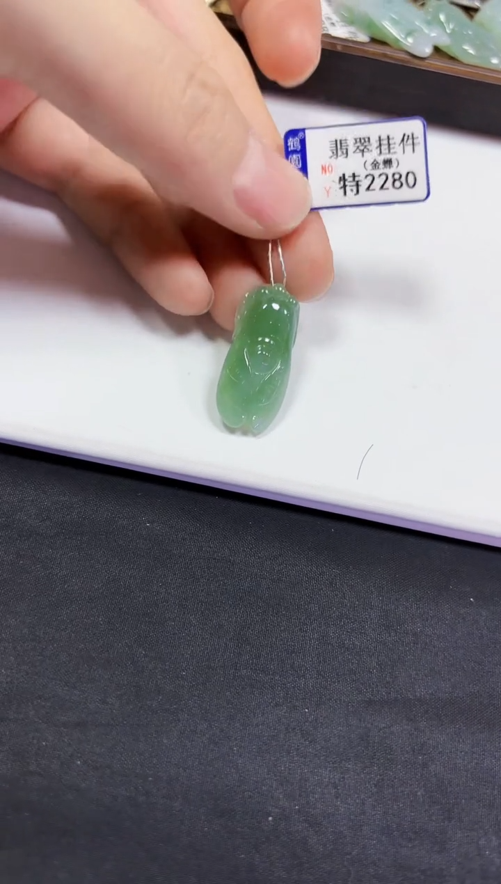 【闪购商品】翡翠颈饰未镶嵌挂件