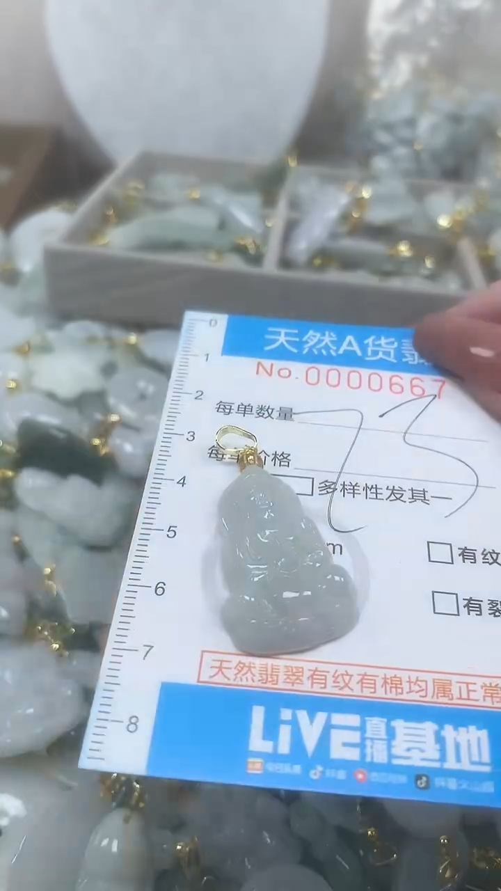 翡翠未镶嵌颈饰净货挂件-0667