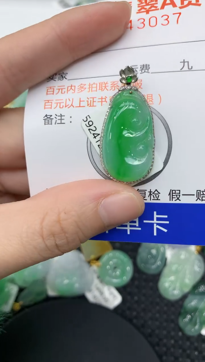 【闪购商品】翡翠颈饰18K金镶嵌11111111