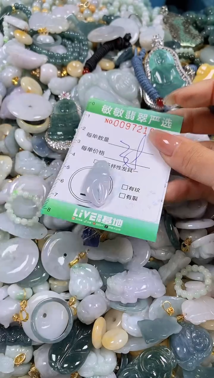 【闪购商品】翡翠颈饰未镶嵌闪购0097216