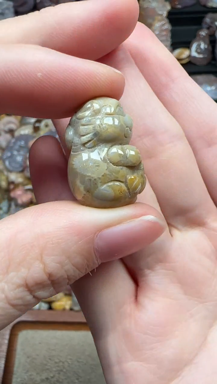 颈饰未镶嵌硅化珊瑚（珊瑚玉）039