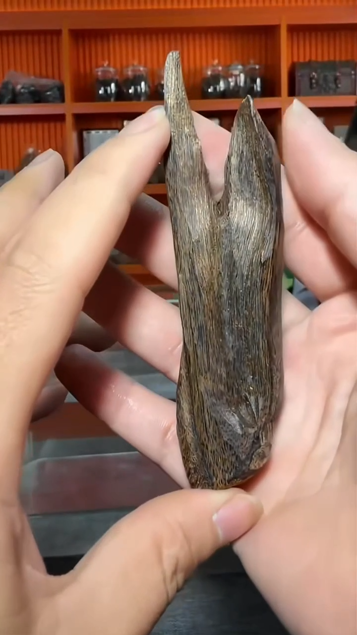 沉香摆件240号原材32g多样性发一