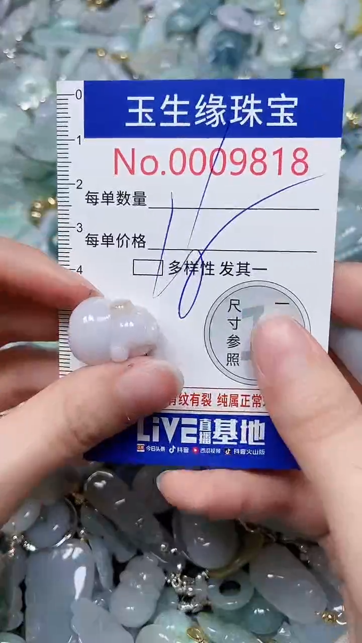 【闪购商品】翡翠颈饰未镶嵌闪购00009818