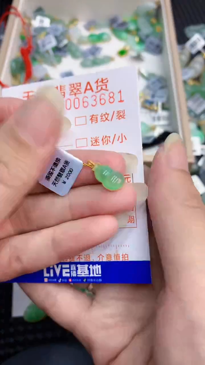 【闪购商品】翡翠颈饰18K金镶嵌           8