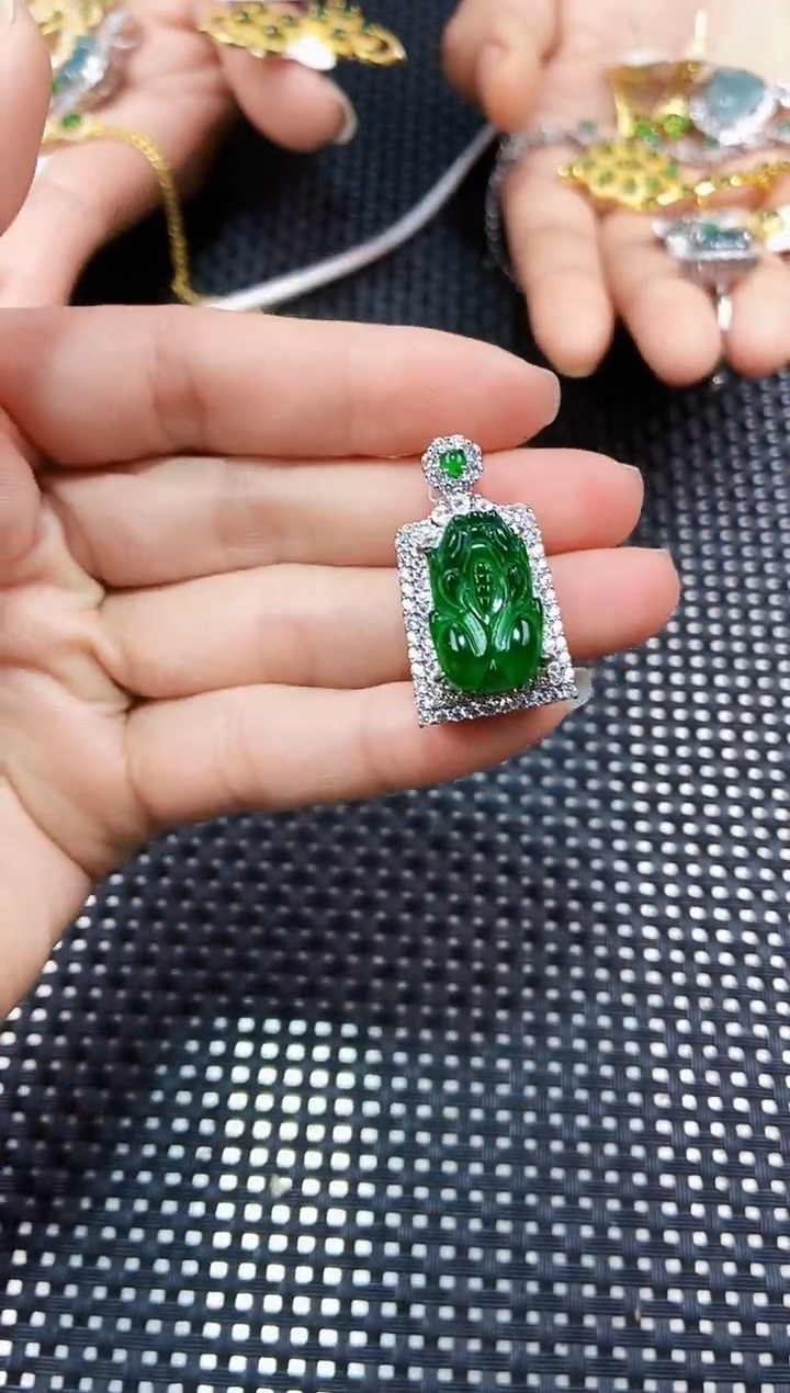 【闪购商品】翡翠颈饰未镶嵌11111111