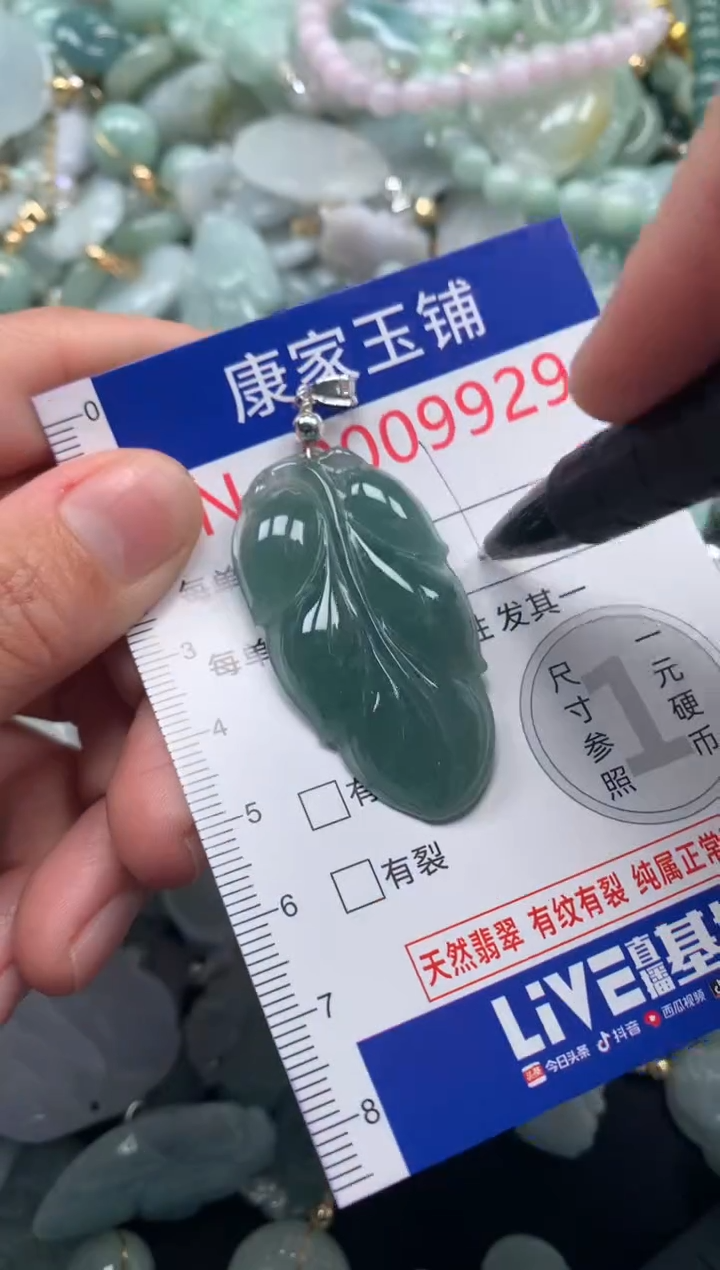 颈饰未镶嵌翡翠9929