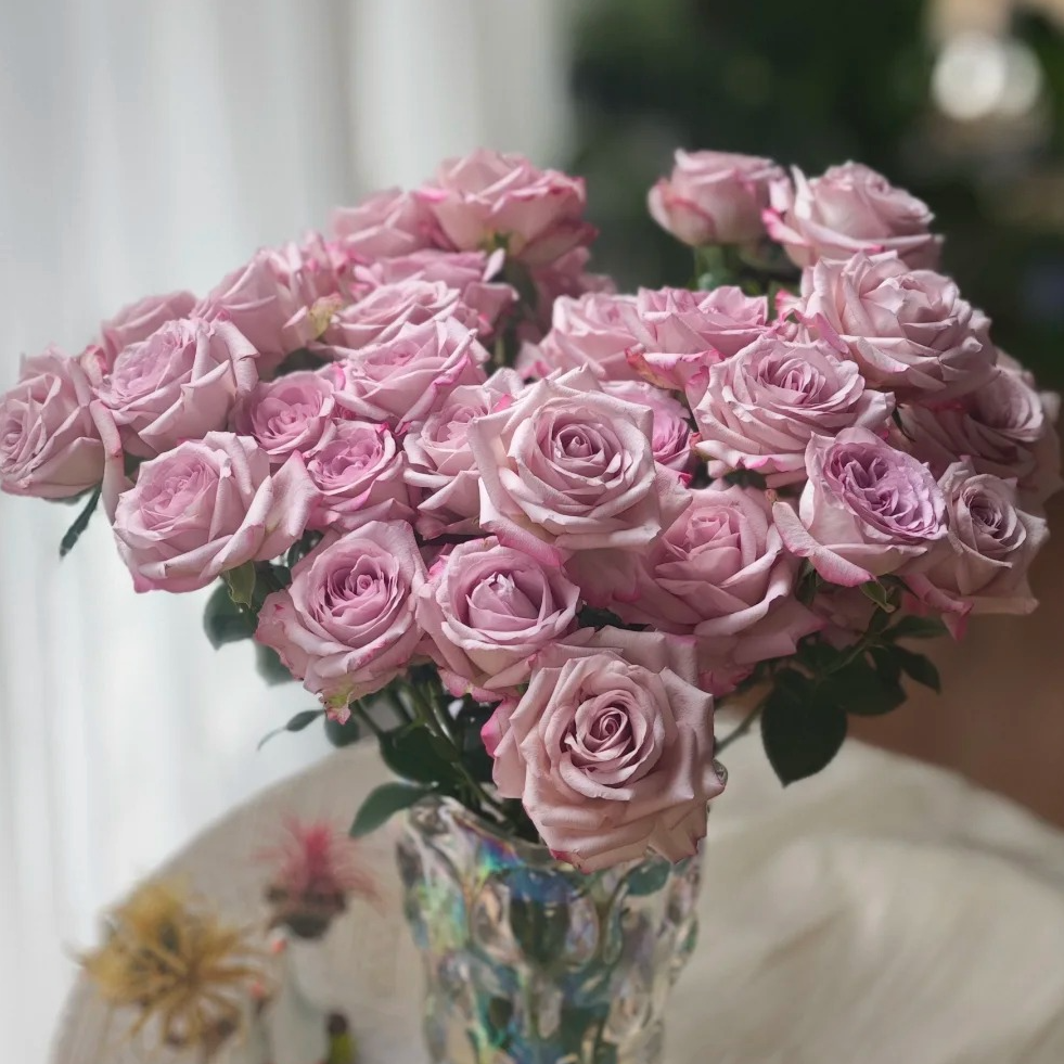 【福利爆款】多头气场玫瑰 多头泡泡玫瑰 现货包邮鲜花鲜切花