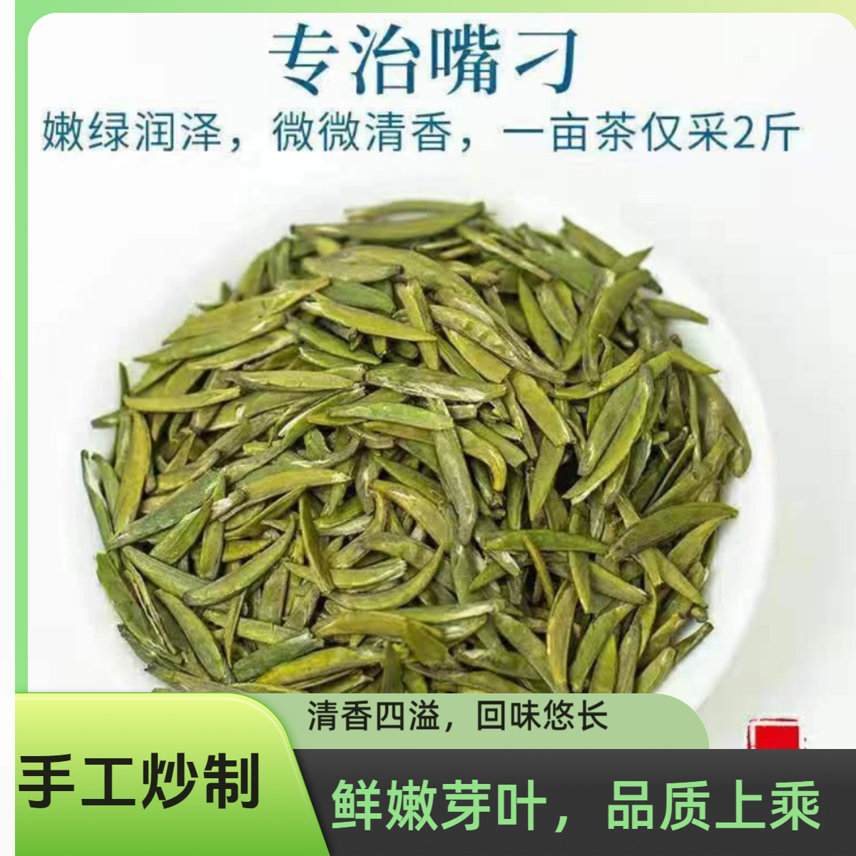 贵州2025年新茶小叶福鼎嫩芽