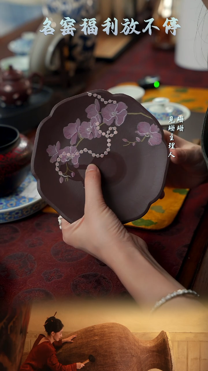 【见珊】蝴蝶兰壶承