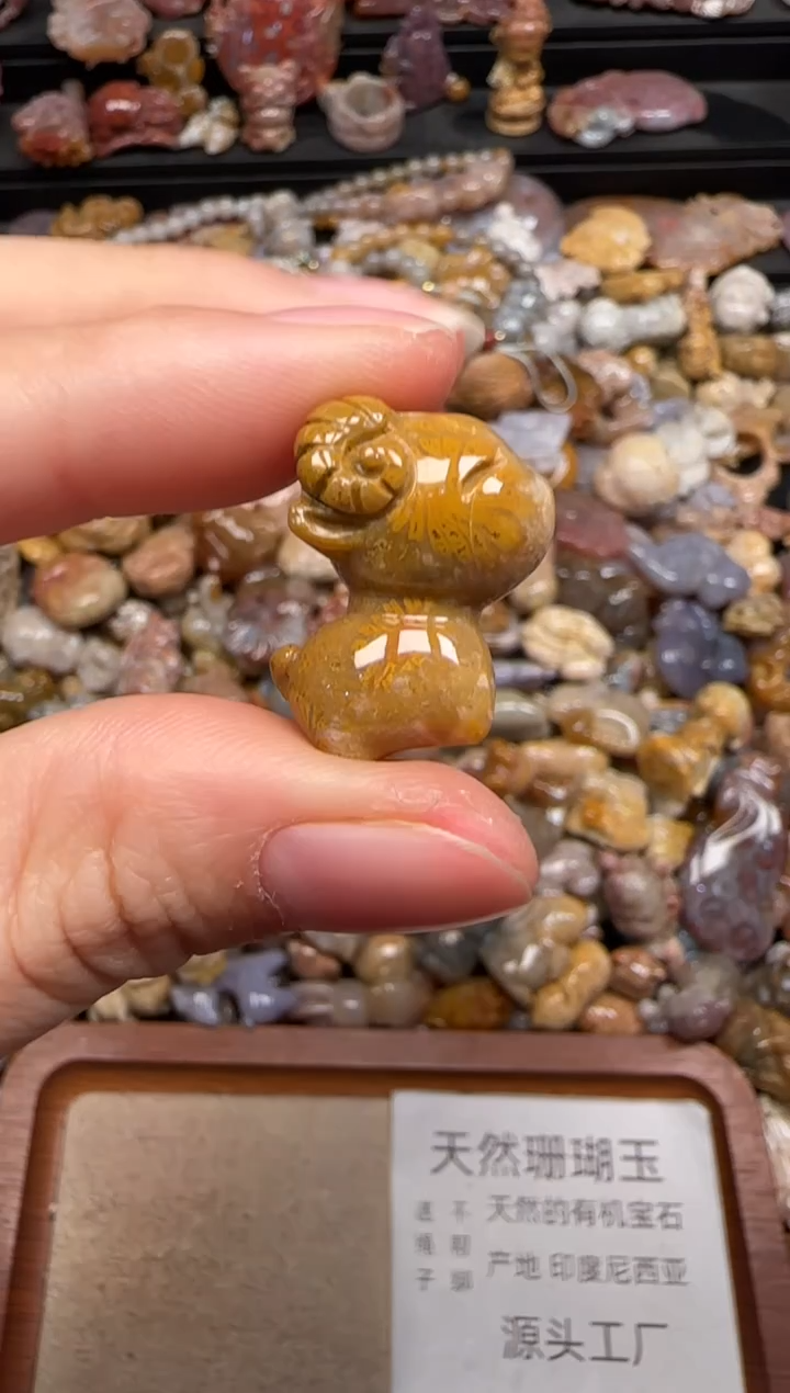 硅化珊瑚（珊瑚玉）未镶嵌颈饰234