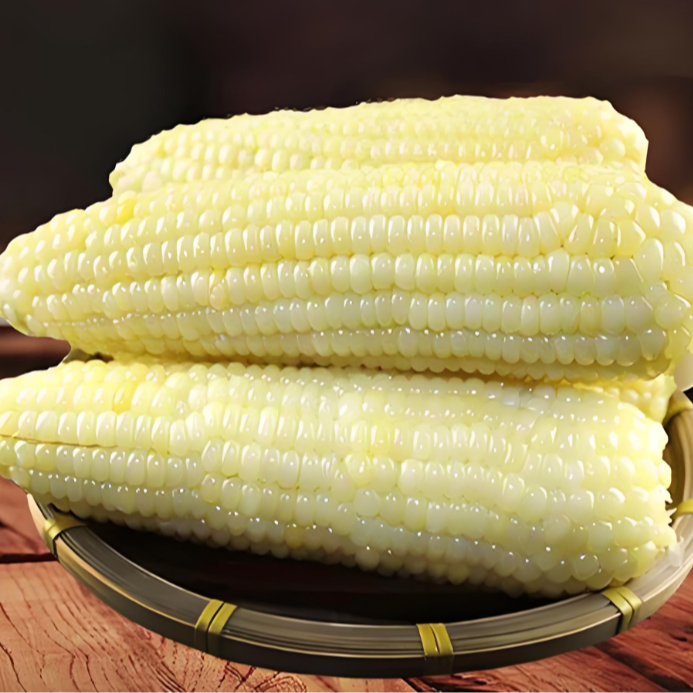 东北新鲜白糯玉米3120g真空包装香甜软糯粗粮美味佳选