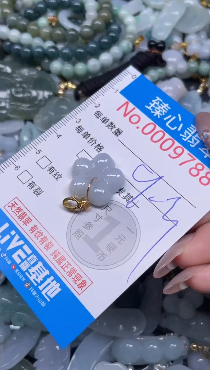 颈饰未镶嵌翡翠9788