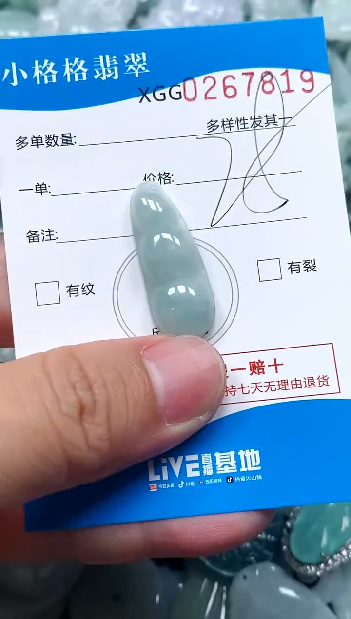 翡翠未镶嵌颈饰闪购商品0267819