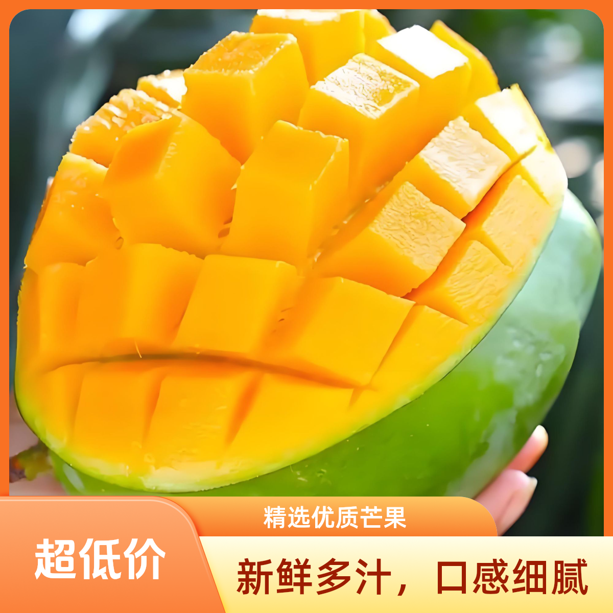 四川攀枝花凯特芒果5/9斤四川省