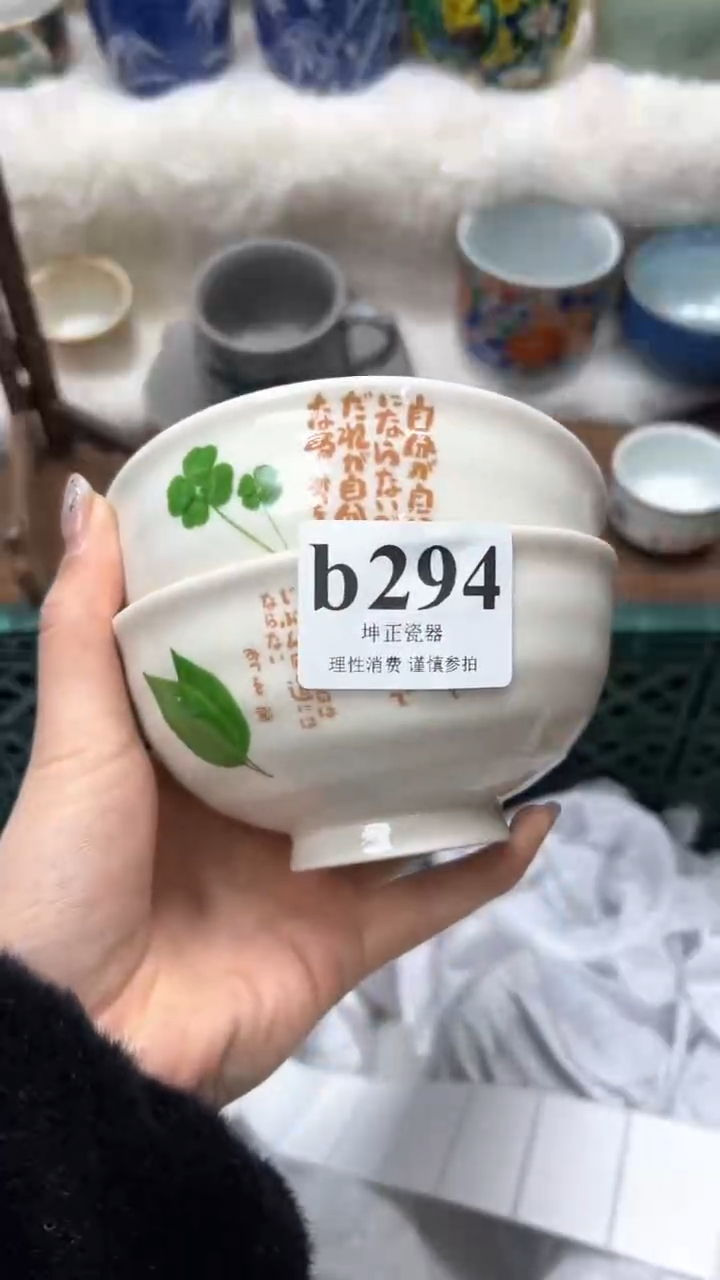 【闪购商品】瓷片          b294