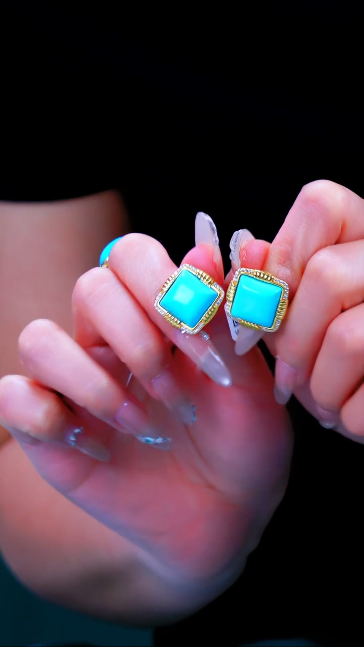 【闪购商品】绿松石耳环银S925镶嵌发货一件