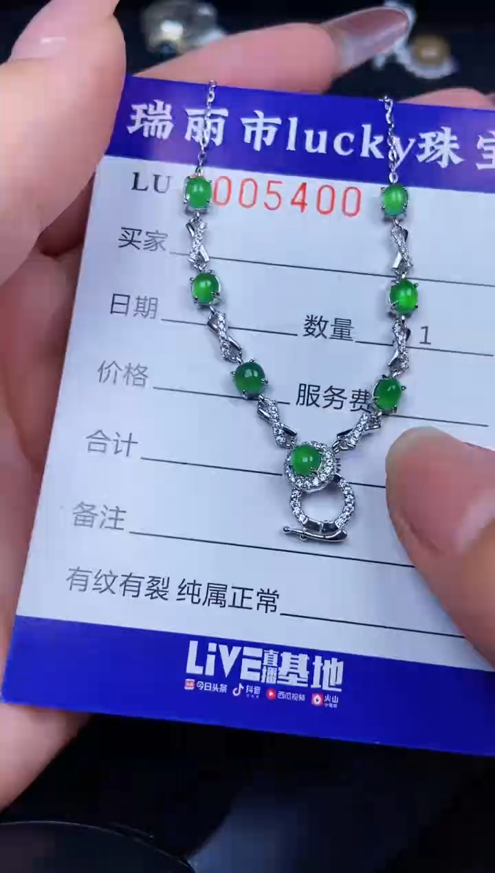 翡翠银S925镶嵌颈饰5400