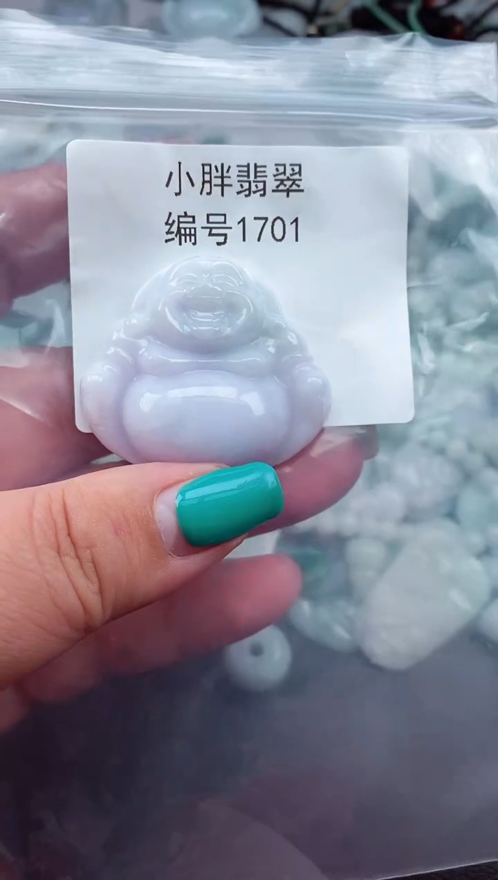 颈饰未镶嵌翡翠缅甸天然A货翡翠1701