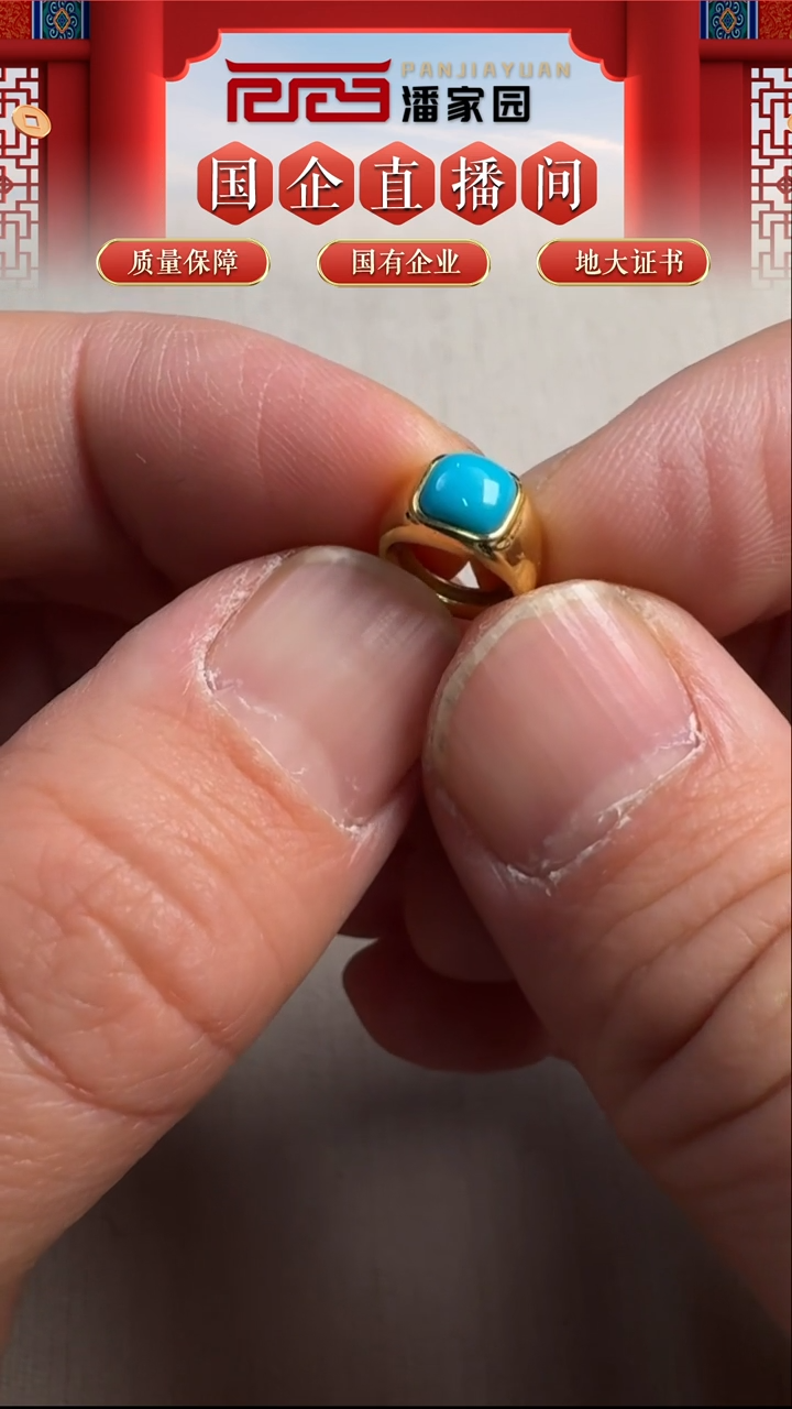 18K金镶嵌绿松石颈饰493-YJ-1211-绿松石-镶嵌卡环