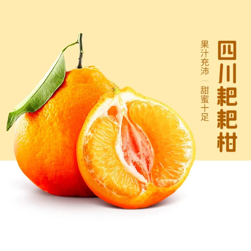 春见耙耙柑新鲜应季柑橘水果四川眉山丹棱果园现摘现发1