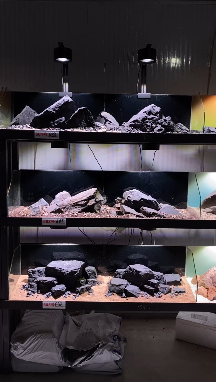 601号鱼缸造景（不含底砂）