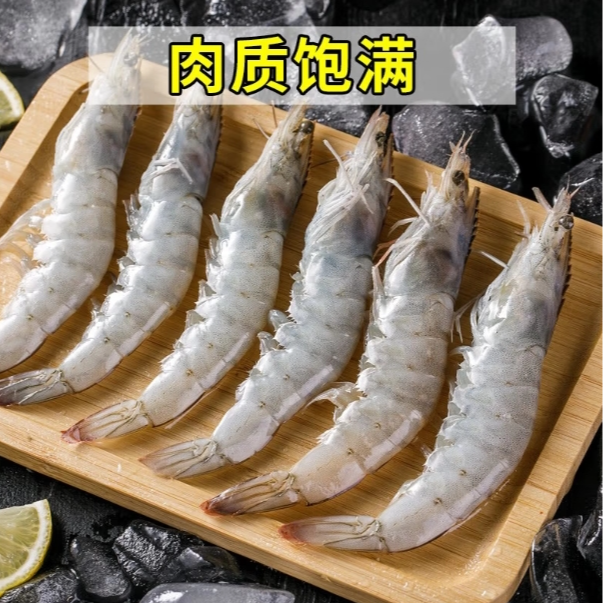 桑塔虾3040厄瓜多尔白虾活冻速冻海虾水产3.3斤