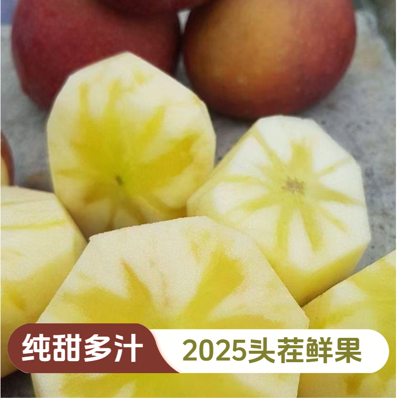 高原小金糖心苹果 高海拔更甜 新鲜采摘 果园直发