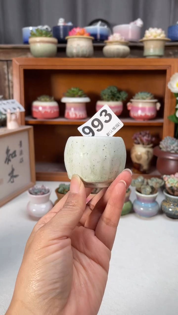 瓷片993知木小芳花盆