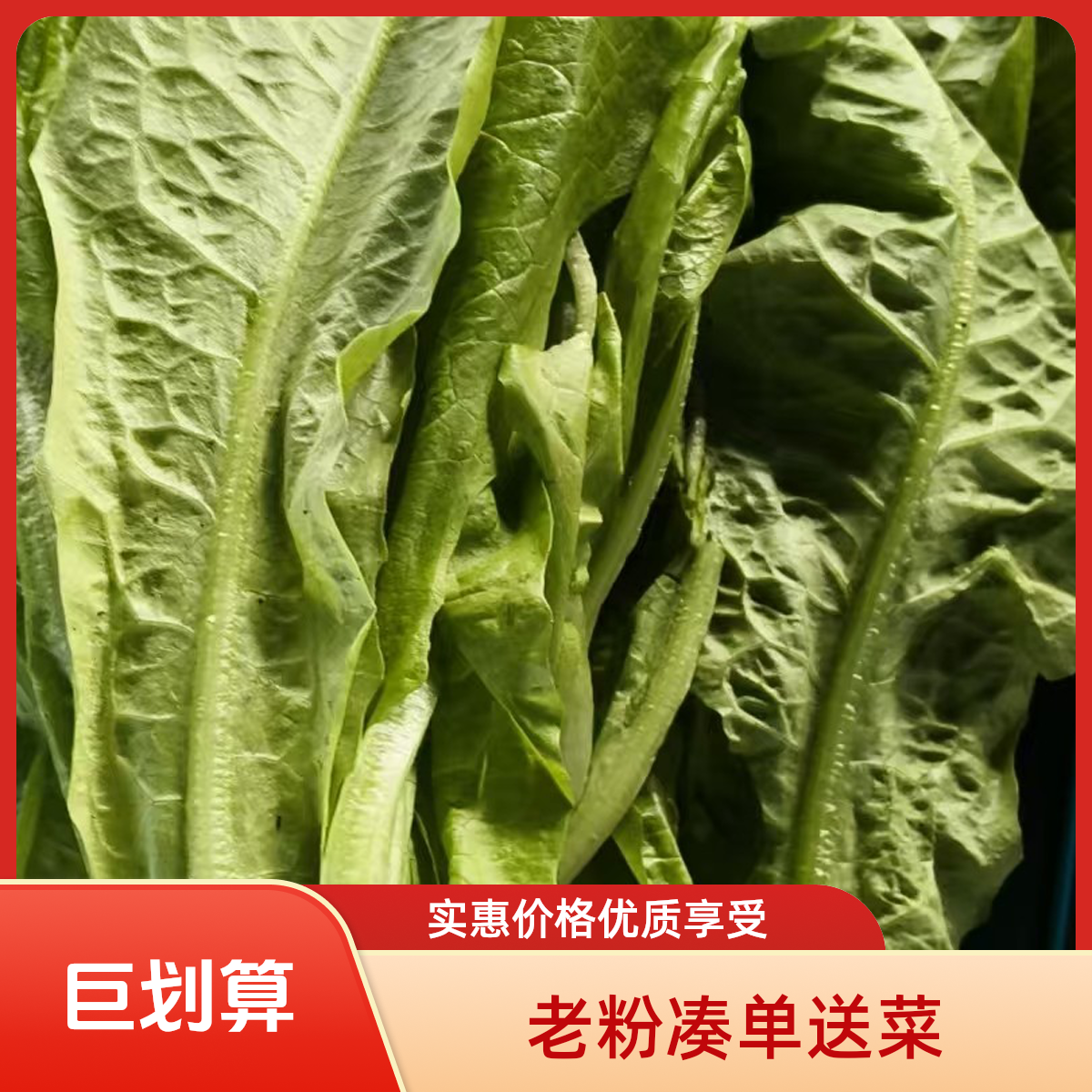 满30包邮|福利菜