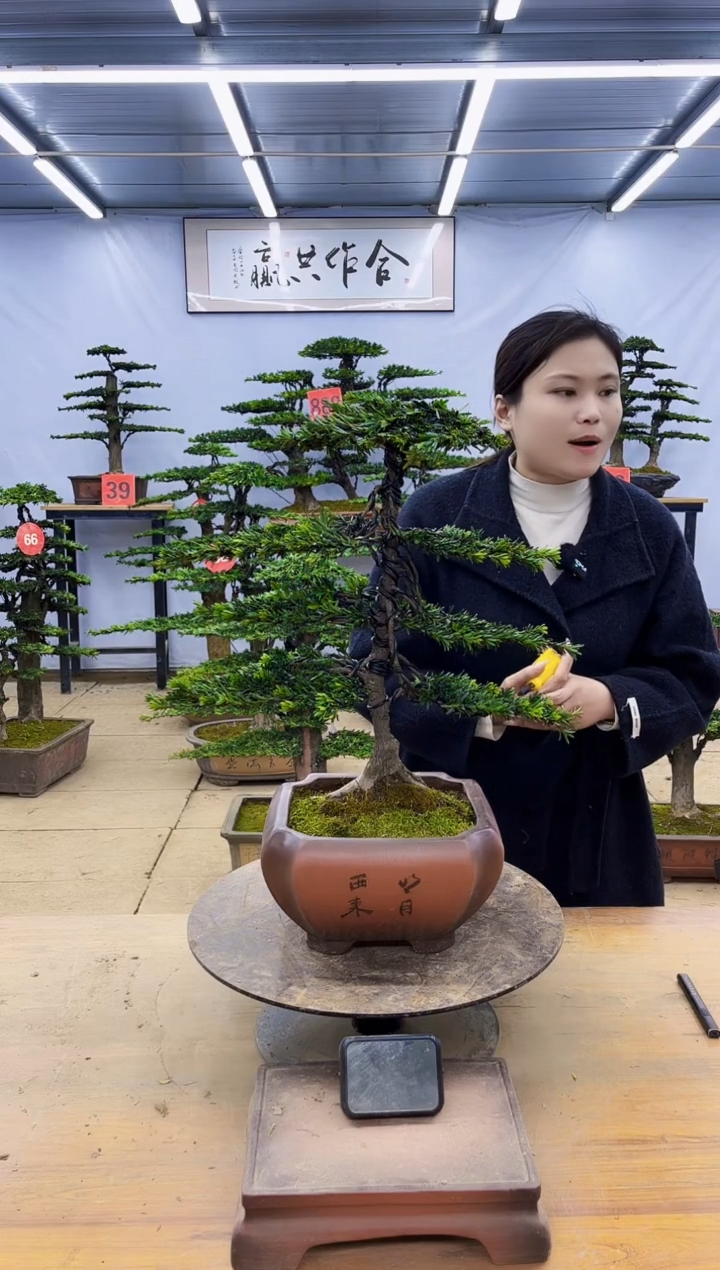 一物一拍，所见即所得